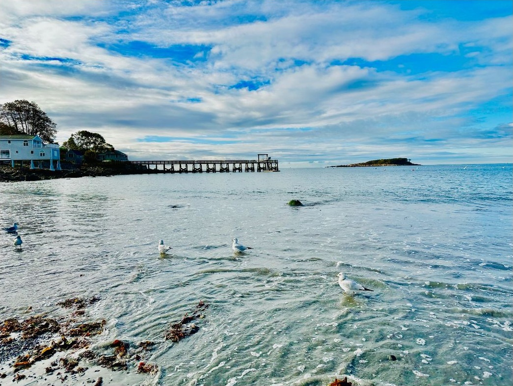 Pier, Gulls, and Island, Atlantic Morning, by Helen Metcalfe